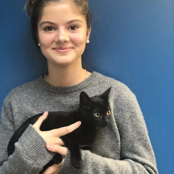 Chica con un gato común europeo negro  en brazos en la clínica veterinaria El Jardín.