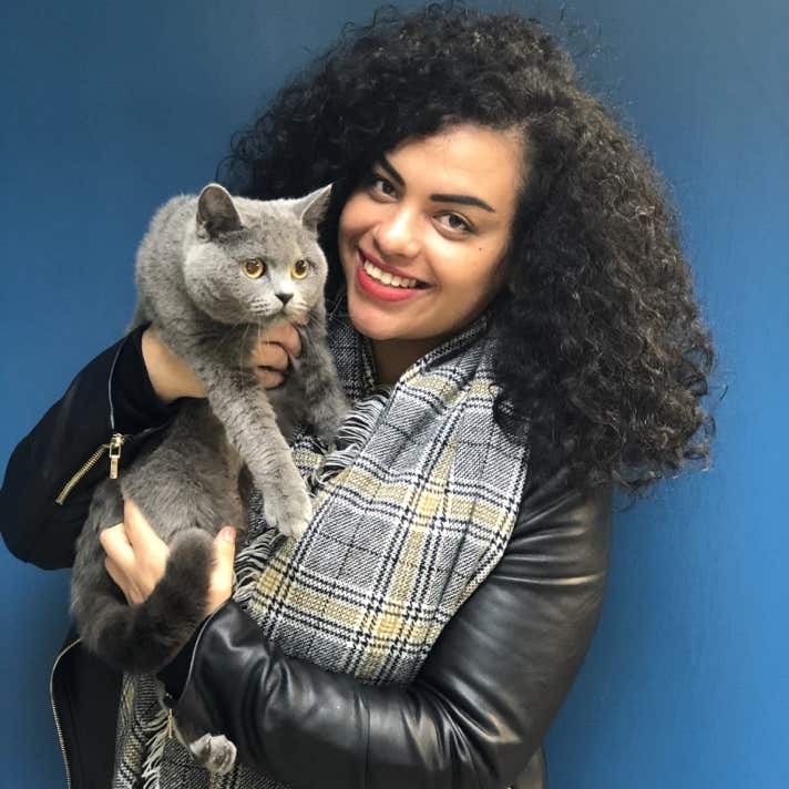 Chica con un gato persa de pelo corto gris en brazos en la clínica veterinaria El Jardín.