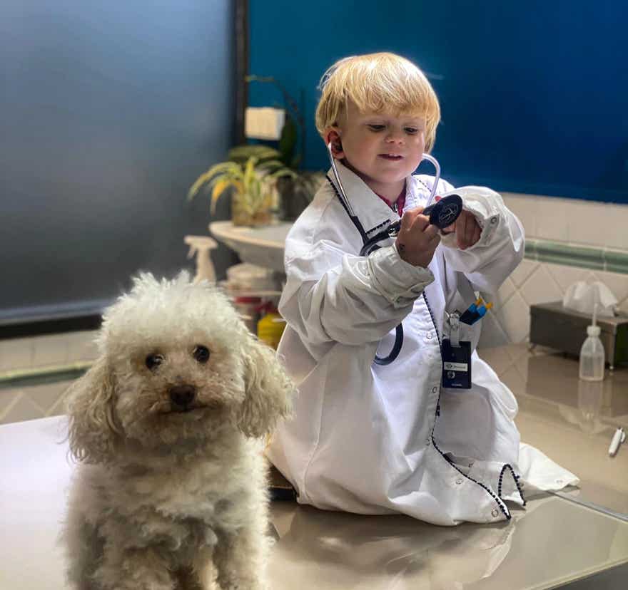 Perro junto con un niño pequqeño vestido de veterinario en la clínica veterinaria El Jardín.